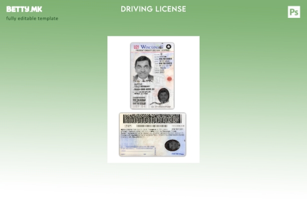 модерен стил САД Висконсин под возачка дозвола присутен шаблон